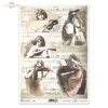 retro, vintage, music, notes, female musicians, women, musical instruments, harp, piano, violin, mandolin, violinist, playing instrument, R373
